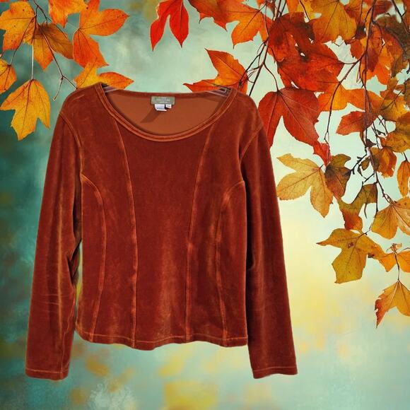 Territory Ahead Top Womens XL Velvet Burnt Orange Romantic Boho Vintage Designer - Picture 3 of 6